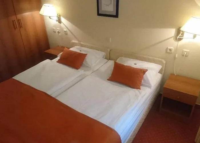 Ruzica- Glavna Zgrada I Depandanse Otel 3*