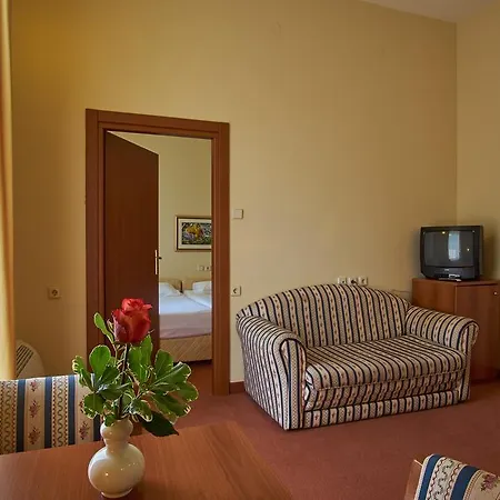 Ruzica- Glavna Zgrada I Depandanse Hotell